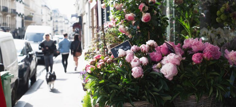 Garden Roses vs. Peonies: The Ultimate Floral Showdown