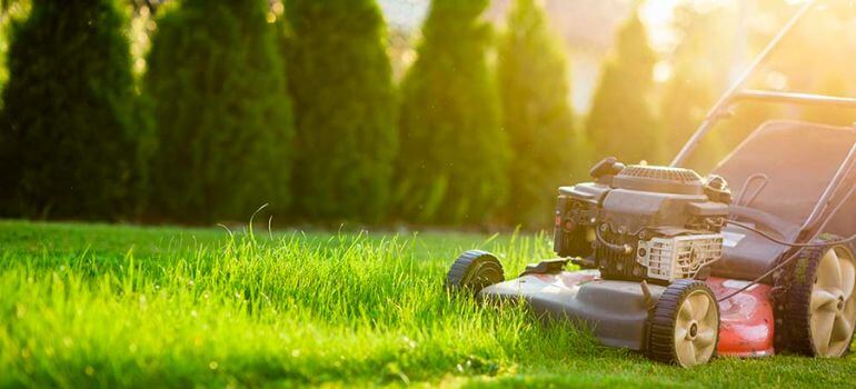 lawn care vs landscaping