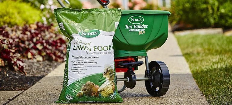 Lawn Food vs. Fertilizer: Which is Right for Your Lawn?