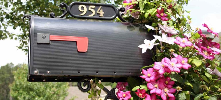 Clematis mailbox