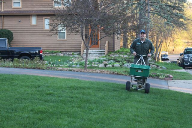 How Soon Can You Mow After Overseeding: Optimal Timing Tips