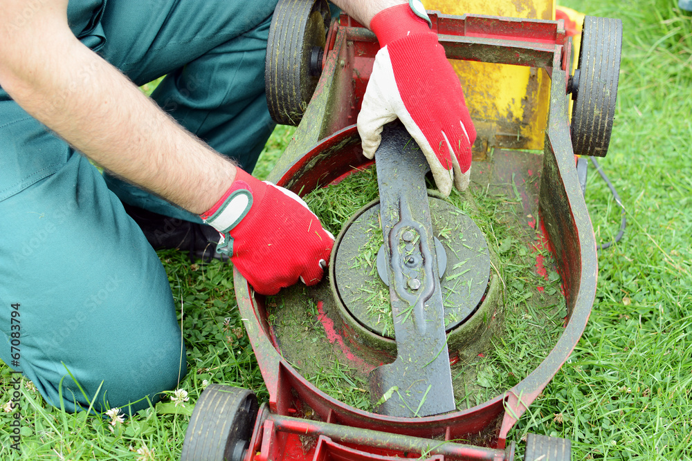 How to Remove Dried Grass from Lawn Mower Deck  : Top Cleaning Tips